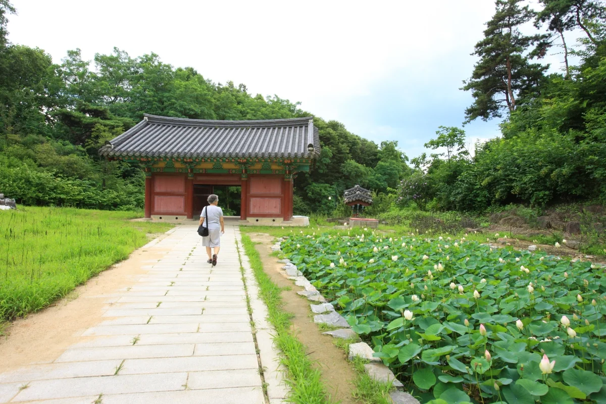 도피안사
