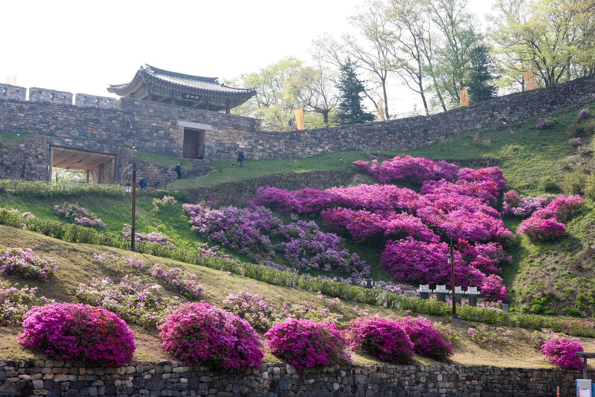 충남 역사 박물관 테마, 겨울에 떠나는 시간 여행