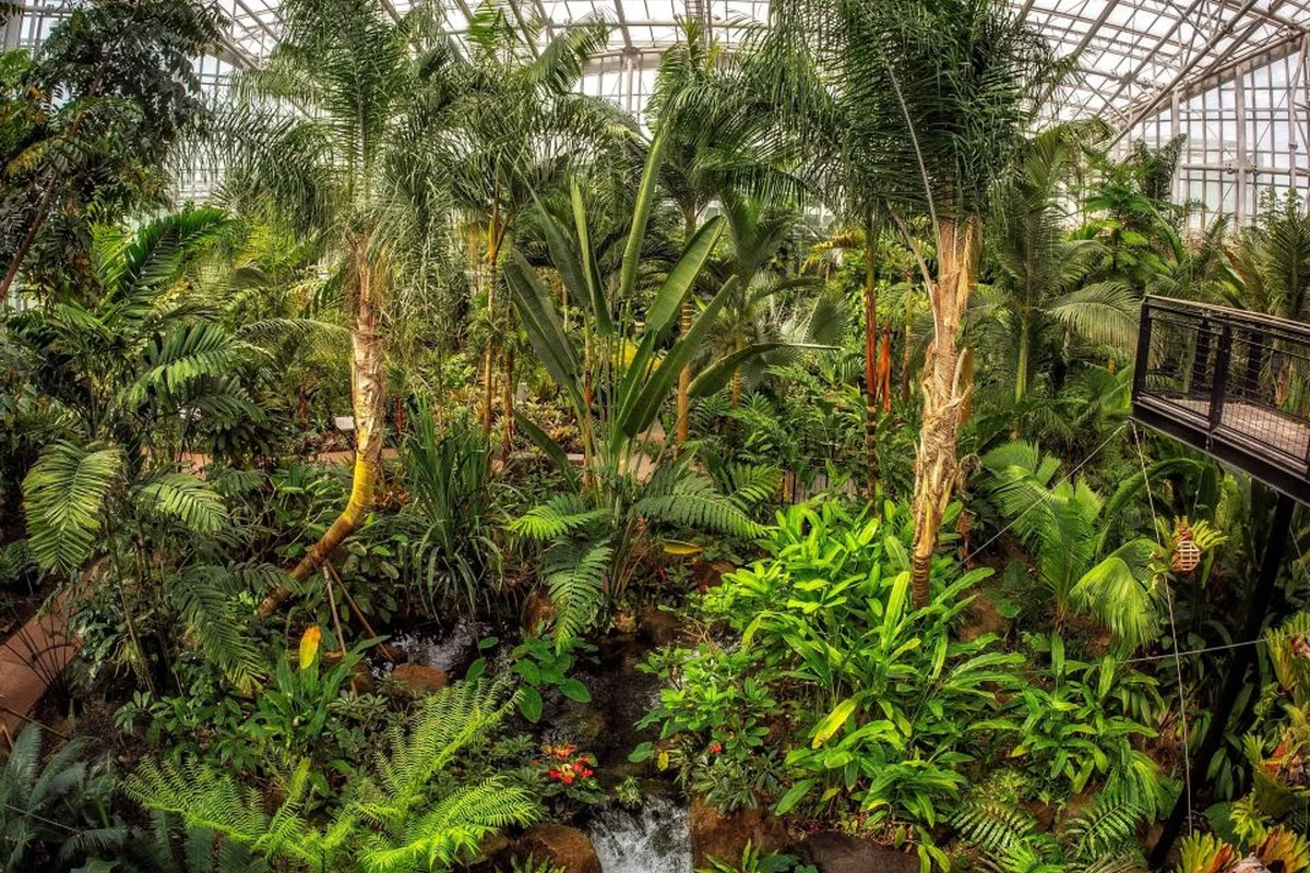 한밭수목원 (실내 온실 위주)