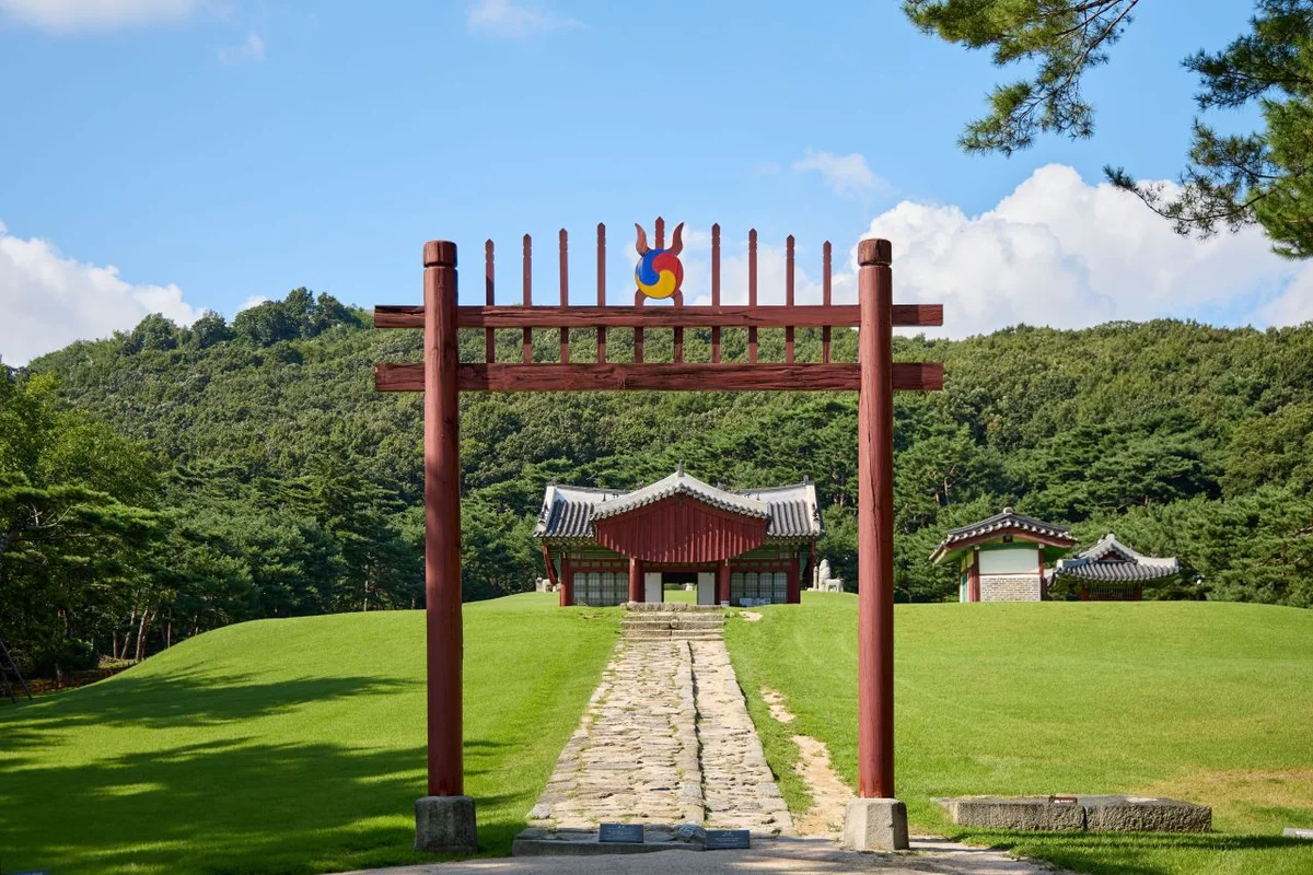 Editor's Pick