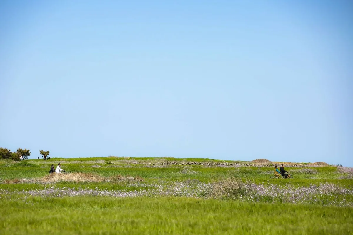 세화-평대 해변