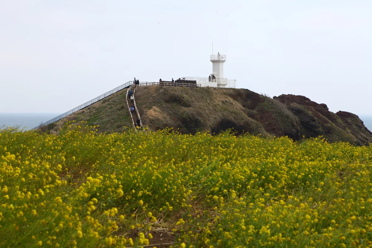 신창풍차해안도로