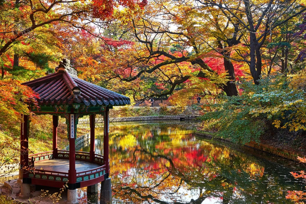 선정전과 희정당
