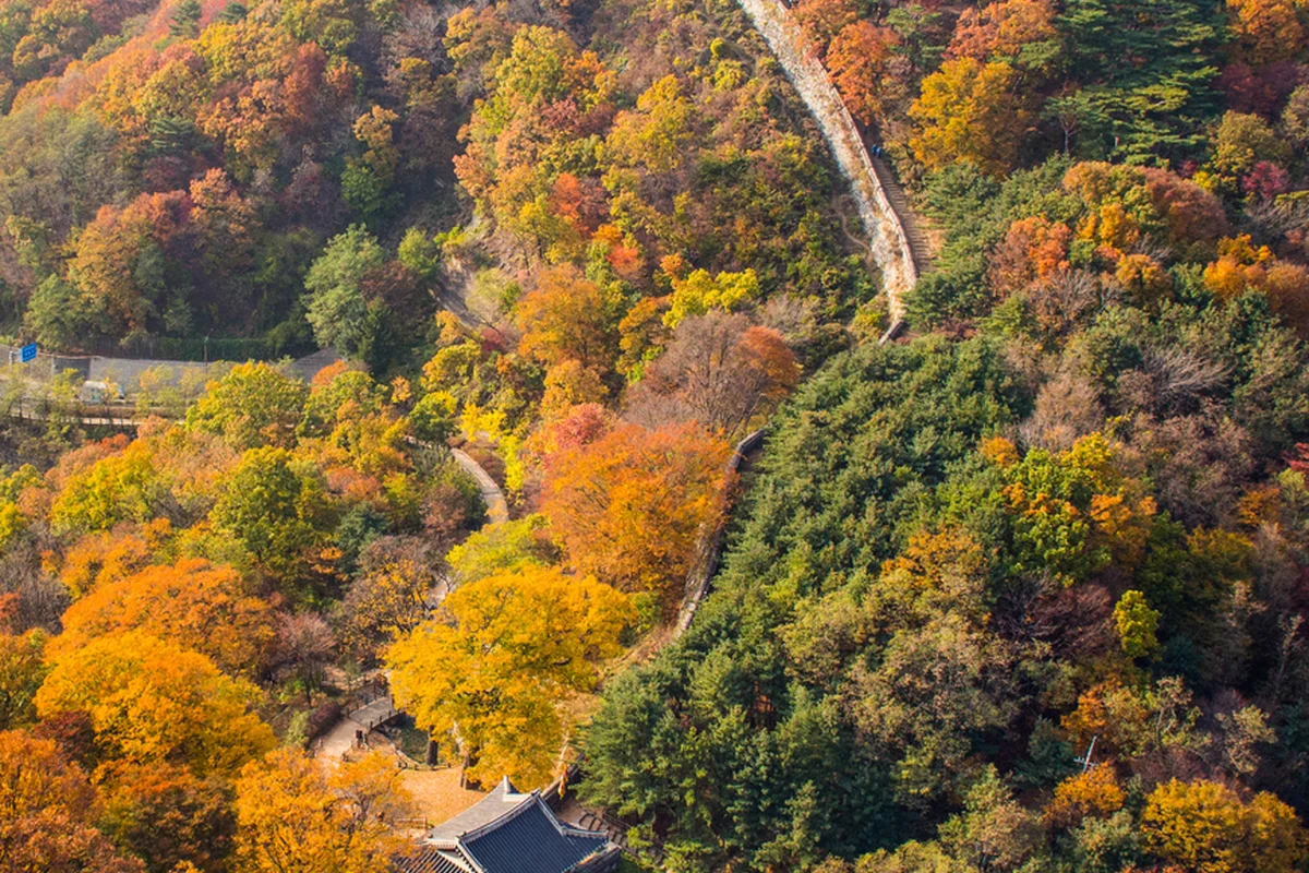 서울 운전 난이도, 겨울 드라이브도 문제없어요!