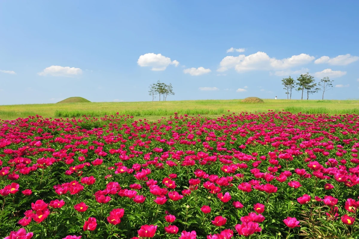 탑산온천