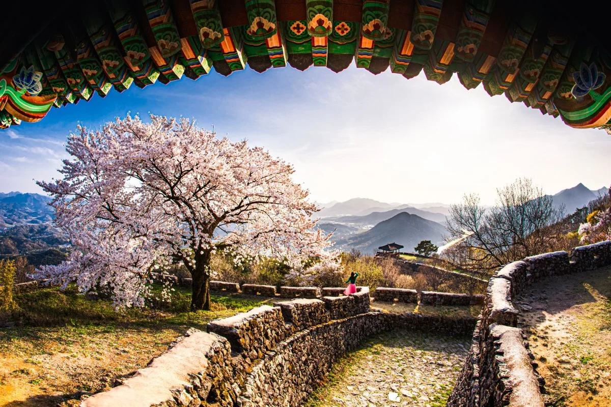 의성 전통시장