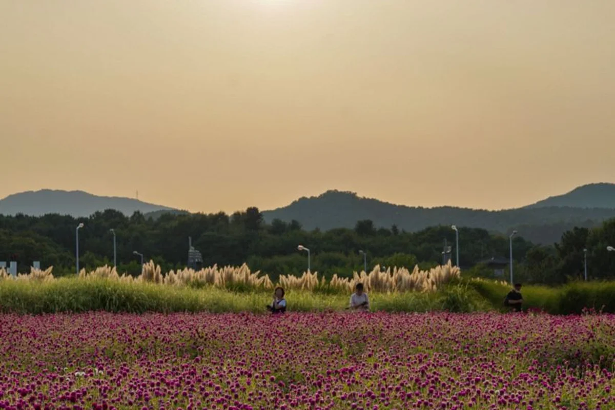 양주 시립 장욱진미술관