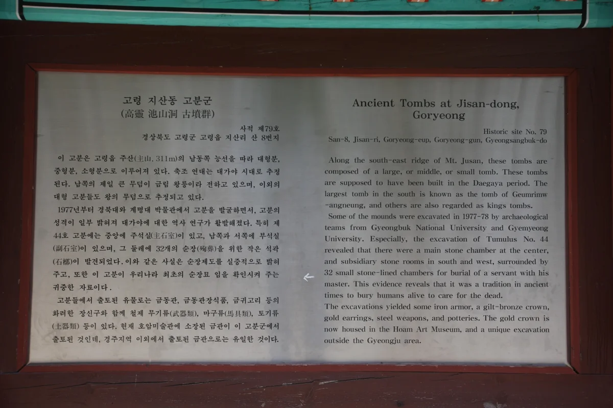 다산딸기조합농원 - 고령 여행 여행