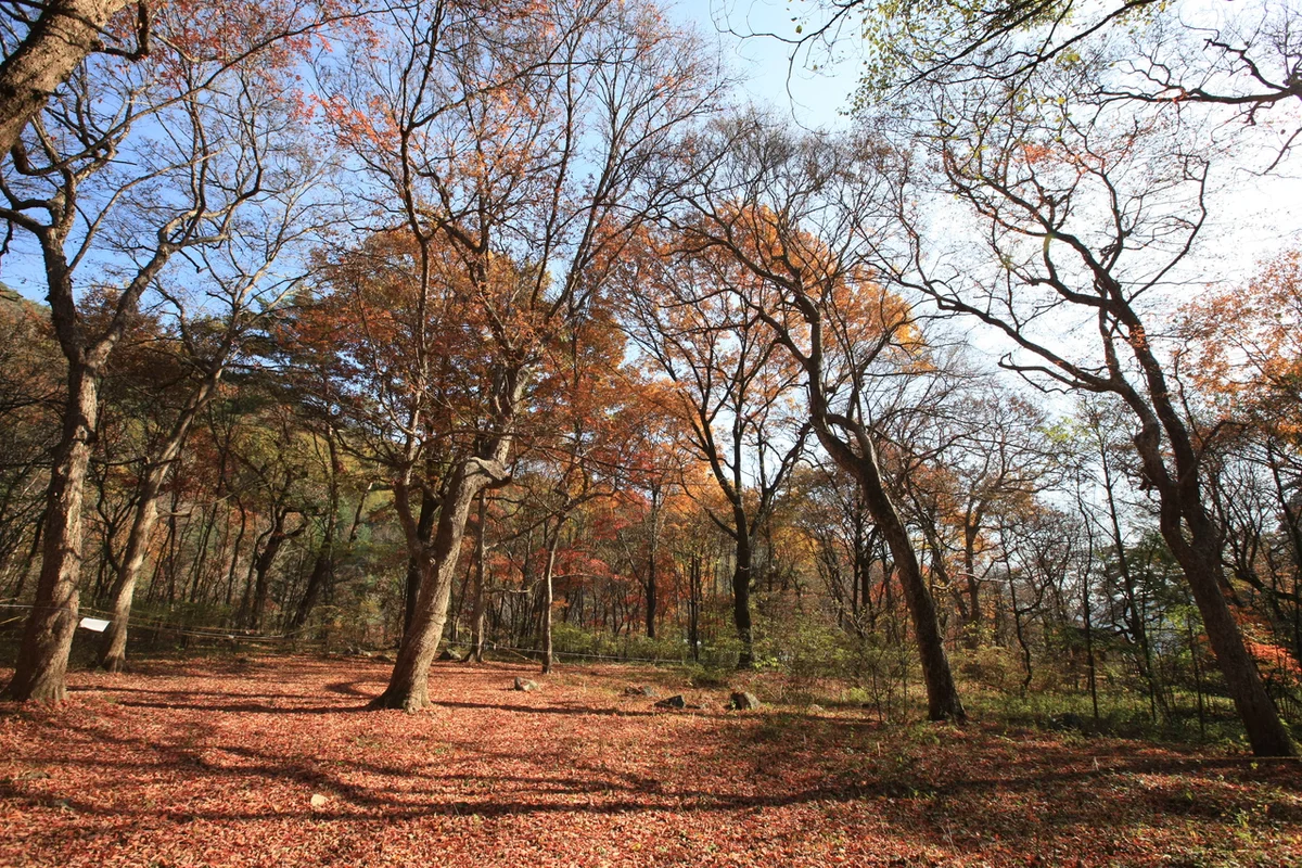 화랑공원 - 성남드라이브 여행