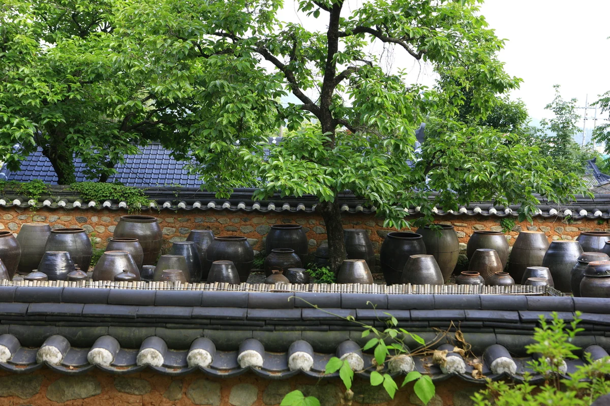 첨찰산 - 진도여행 여행