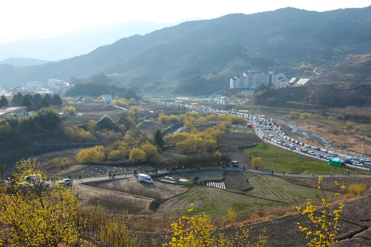 구례산수유마을 반려견 동반 핵심 코스 - 구례산수유마을 여행