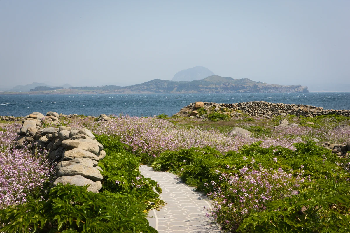 산방산 - 제주도여행 여행
