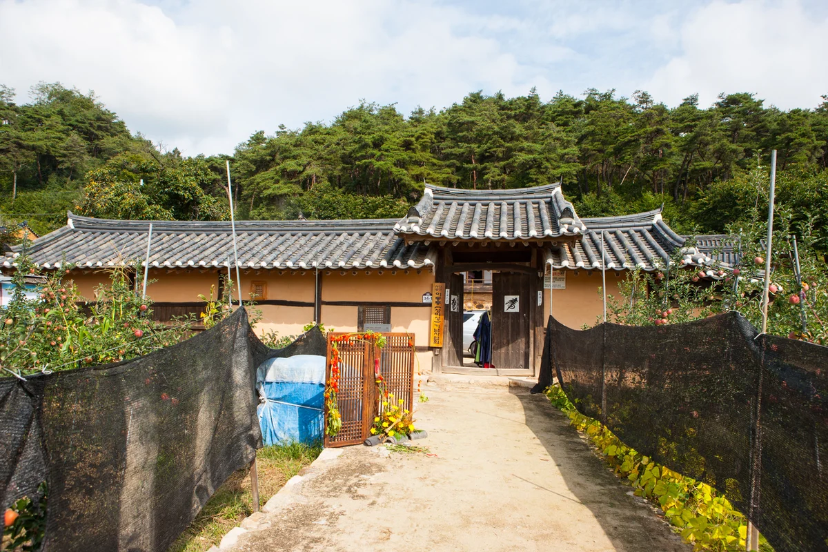 에덴 벚꽃길 - 가평 벚꽃 여행