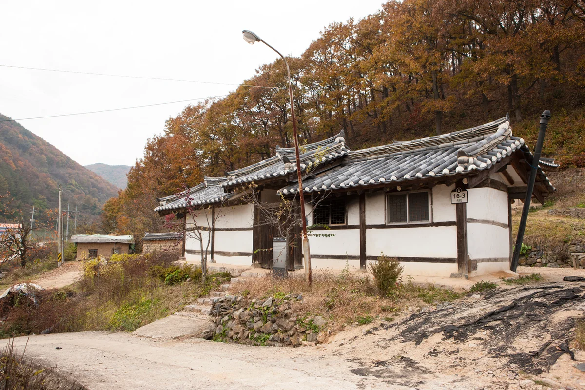 대전 한밭수목원 - 대정 나들이 여행