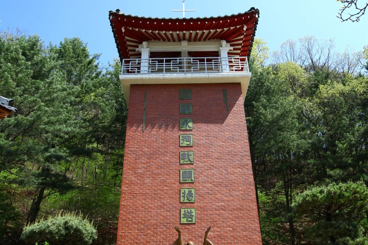 영동천 벚꽃길 - 영동여행 여행