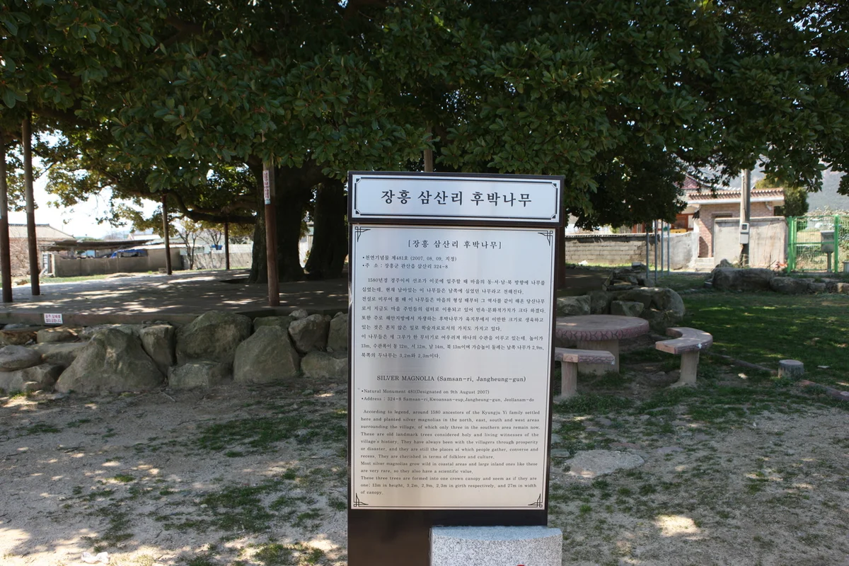 삼산 뚜벅이여행 추천 5곳, 2026 봄맞이 나들이 코스