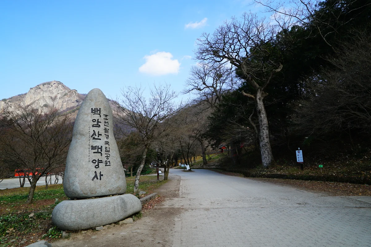백련동편백농원 - 장성군 여행