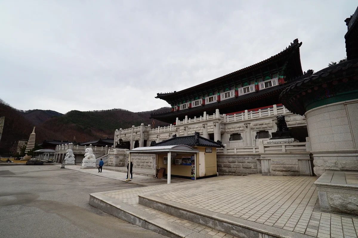 오소하 게스트하우스 - 삼척여행 여행