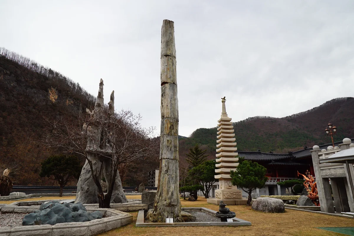 삼척중앙시장 - 삼척여행 여행