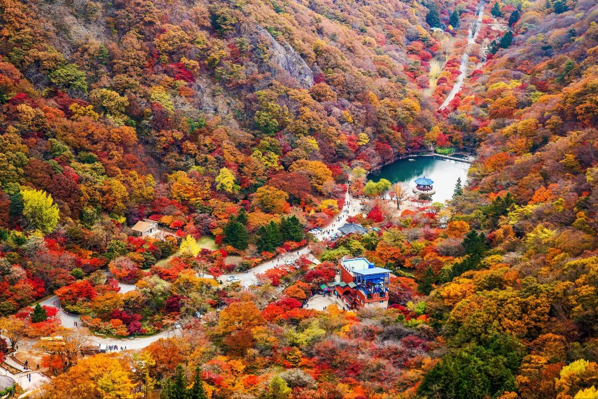 우화정 - 내장산 여행