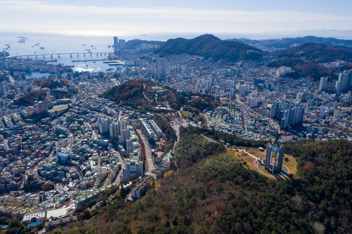 대전역 수국 명소, 미리 만나보는 여름의 아름다움 - 대전역 여행
