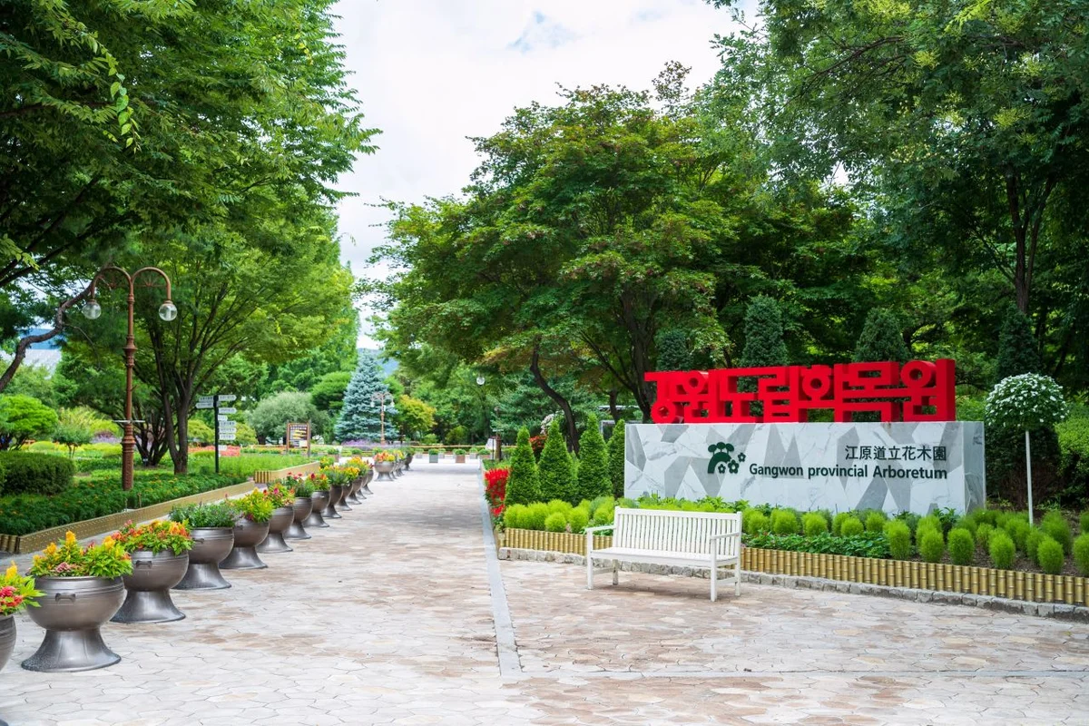 춘천시 아기랑 가볼만한곳 BEST 5 (2026년 최신 정보 포함)