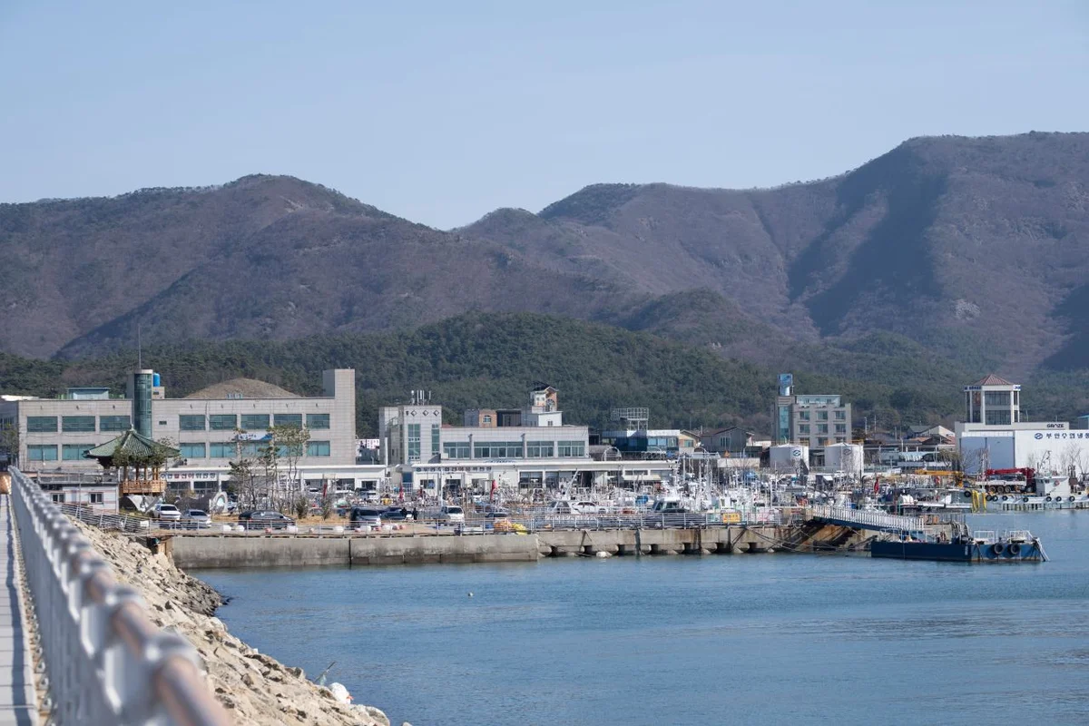 죽도동 일대 (죽도시장과 인접한) - 포항여행 여행