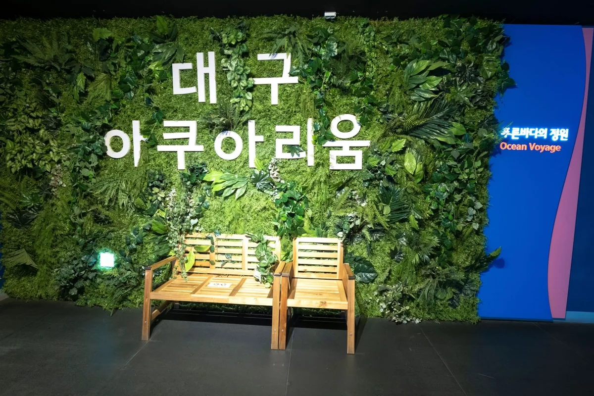 대구아쿠아리움 - 대구데이트 여행