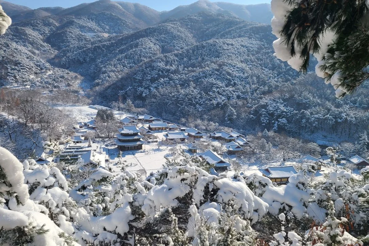 김제시 MTB, 2026년 봄 놓치지 말아야 할 라이딩 코스 BEST 5