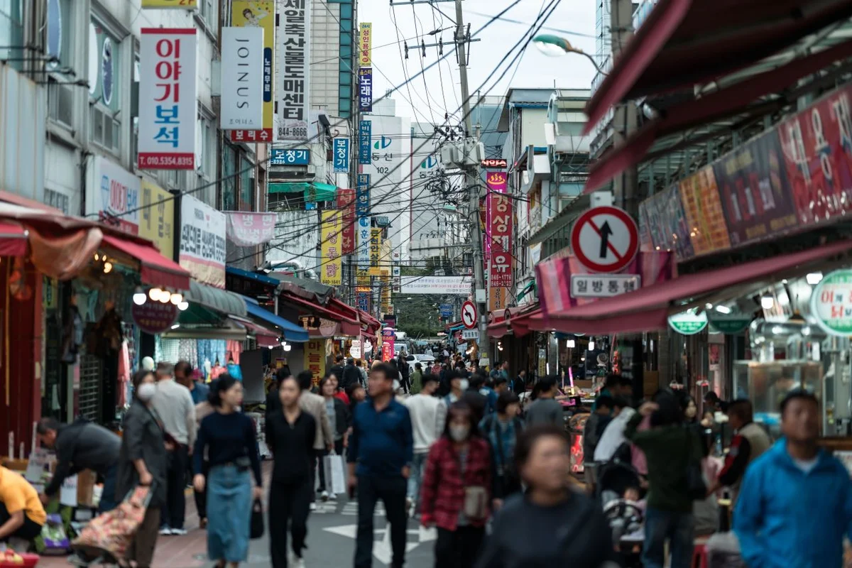 의정부시 전시, 봄맞이 문화 탐방 BEST 6 — 2026년 추천 명소