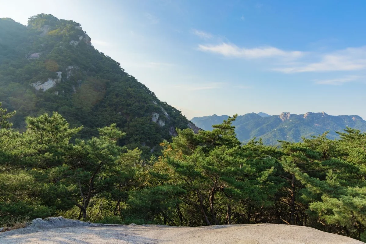 초안산근린공원 - 도봉관광 여행