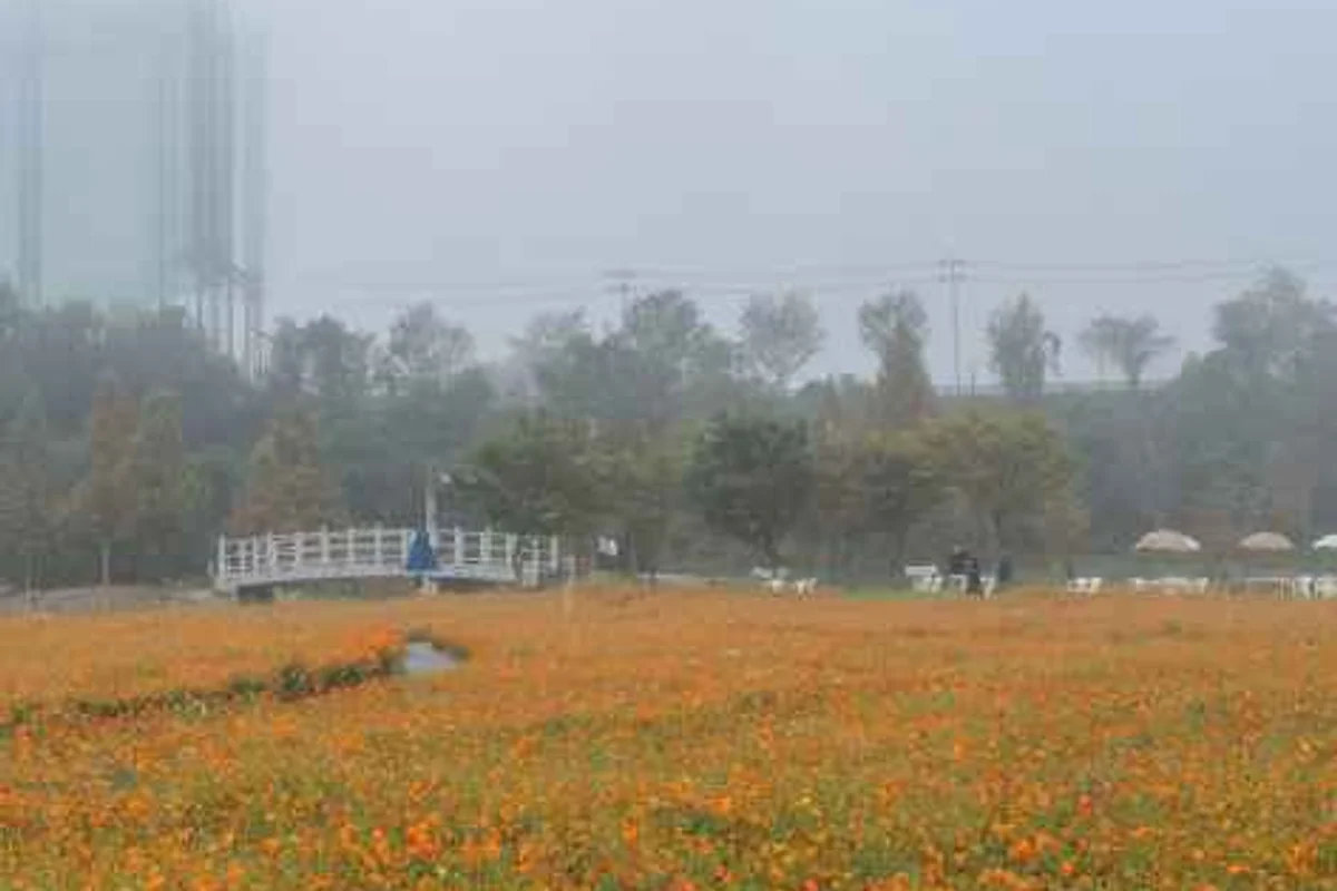 합천신소양체육공원 - 합천여행 여행