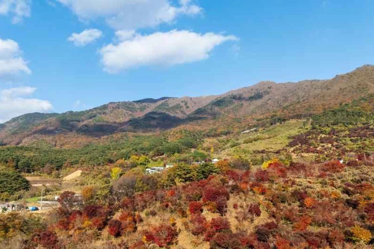 무창포해수욕장 - 보령여행 여행