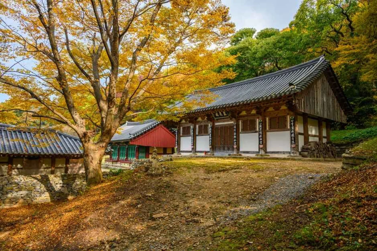 스핑크스타조농장 - 서산시혼자여행 여행