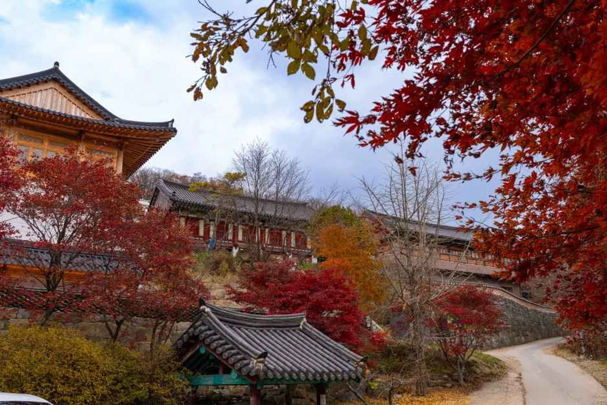 무주 데이트 장소 BEST 6, 2026 봄 추천 코스 완벽 가이드!