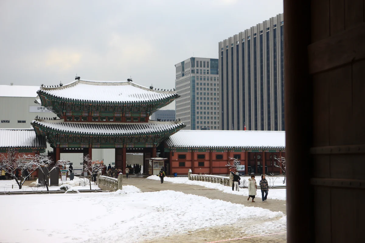 안양천 벚꽃길 - 금천벚꽃 여행