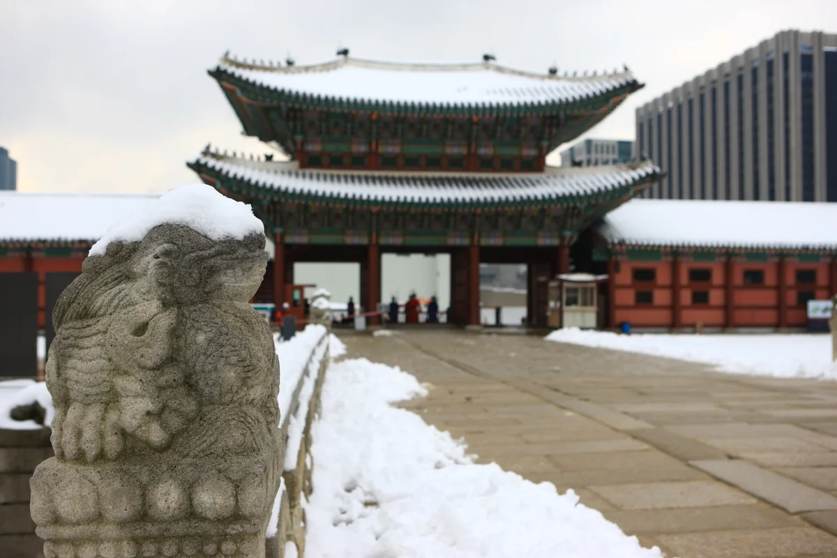 금천구청 주변 벚꽃길 - 금천벚꽃 여행